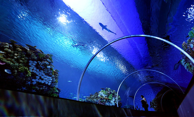 Blue Planet Aquarium - MaterialDistrict