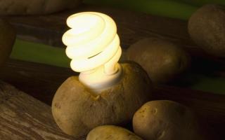 Make your own potato lightbulb