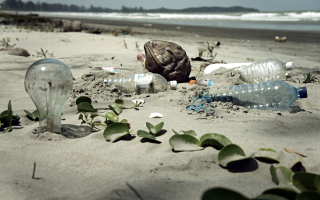 Ocean Plastic Becomes Fantastic