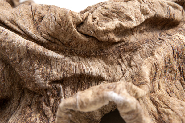 Unexpected Leather Materialdistrict