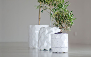 The Origami Pot That Grows Alongside Your Plants