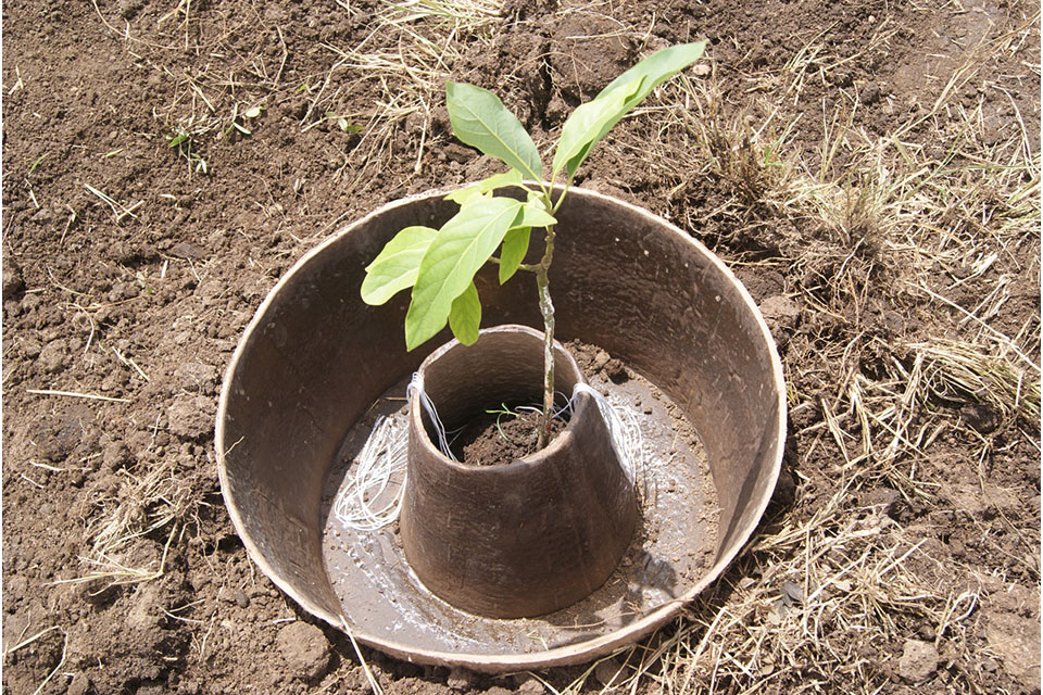 COCOON Sustainable Planter Gives Life To Arid Land MaterialDistrict