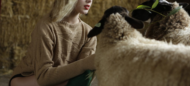 Wool²: Recycled Wool Style Is Here