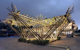 Raising Canes: Future Bamboo Cities