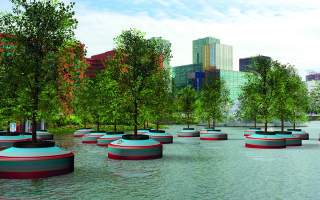 A Floating Forest for Rotterdam