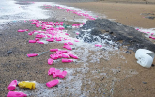 Pink Tide: Another Case For Plastic Alternatives