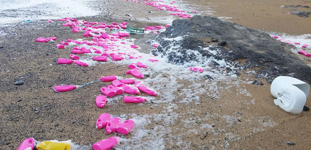 Pink Tide: Another Case For Plastic Alternatives