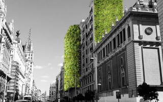 Radically Green in Madrid and Paris