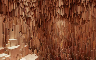 Hollow: See and Experience over 10,000 different wood species