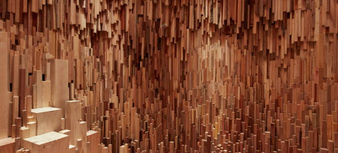 Hollow: See and Experience over 10,000 different wood species