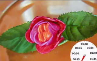 Say it with artificial blooming flowers from morphing material