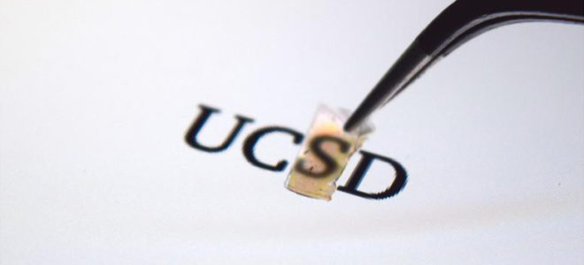 Transparent and flexible material is a near-perfect broadband absorber