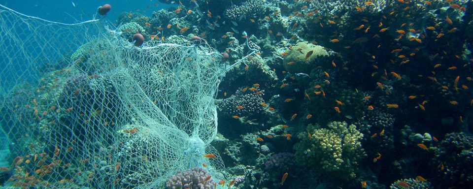 Recycled fishing nets on Nylon Stockings Day - MaterialDistrict