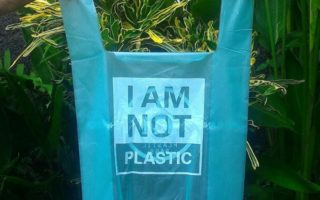 Bioplastic bags from cassava and shrimp waste on Plastic Bag Free Day
