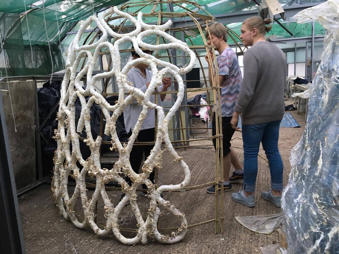 The Mycelium House: Material Exploration for a Zero-Carbon Tiny