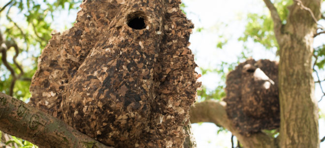 Cigarette filters as raw material for birdhouses and knitwear
