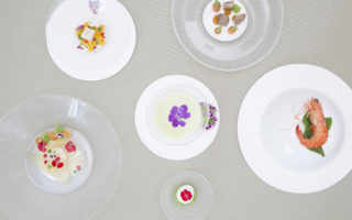 Living Plates: silicone dining plates that move when you eat