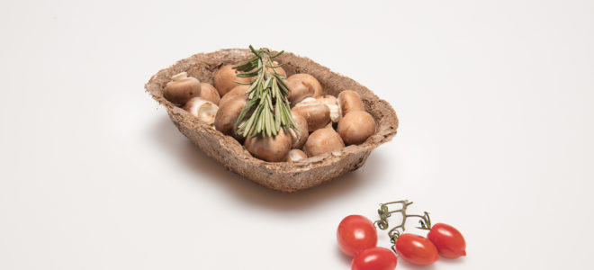 POC: seagrass-based food packaging material to reduce waste