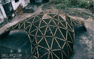 Shell Mycelium: using mycelium to build and destroy constructions