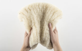 Daemwool natural wool insulation