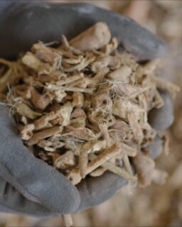 Achieving carbon-neutral construction by 2050 will require a major shift in the materials architects and designers specify. While timber is currently the most familiar biobased option, many other renewable fibre sources are emerging as viable alternatives for insulation, boards and structural panels. At @tno.innovation in the Netherlands, researchers and industry partners are working together to turn agricultural residues—such as fibres from bell pepper and tomato plants—into scalable, high-performing building materials.
Read more at MaterialDistrict.com
#MaterialInspiration #Materials #BiobasedMaterials #SustainableConstruction #CircularDesign #MaterialInnovation #FibreBasedMaterials #LowCarbonBuilding