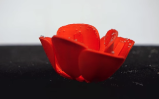 A self-folding tulip made from common 3D printing material