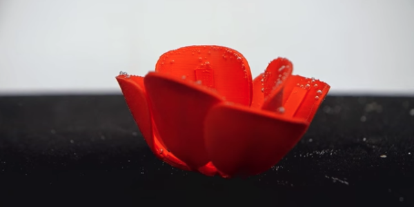 A self-folding tulip made from common 3D printing material