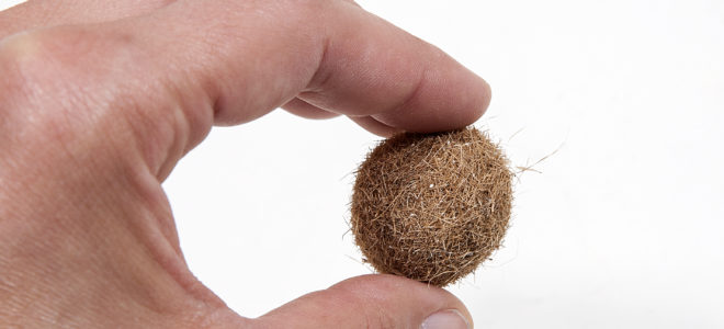 Insulate your house well on Cut Your Energy Costs Day