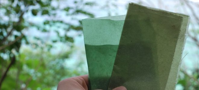 This edible packaging material is based on seaweed