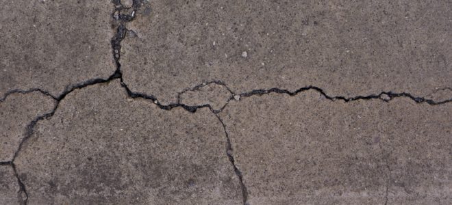 This fungus infused concrete can heal itself (not suitable for broken hearts)