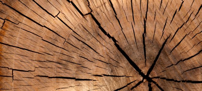 This new ‘super wood’ material is stronger than steel