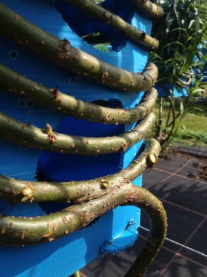 Full Grown: growing furniture in mass-production 10