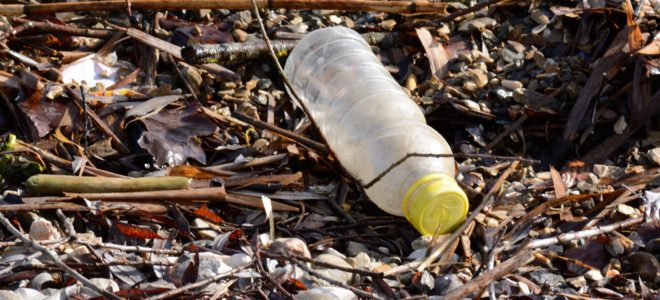 PET eating enzyme could help fight plastic pollution