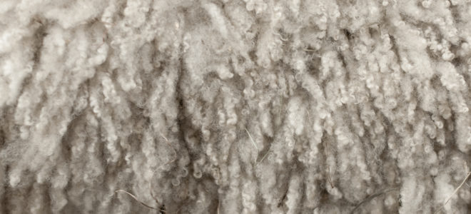 Keep your products cool with sheep’s wool insulation