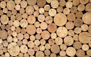Wood cellulose material is stronger than spider silk