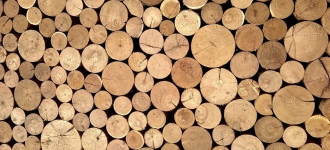 Wood cellulose material is stronger than spider silk