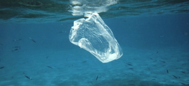 What to do with ocean plastic on World Oceans Day