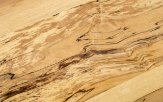 Spalted maple