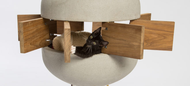 13 cat shelters for homeless cats designed by architects