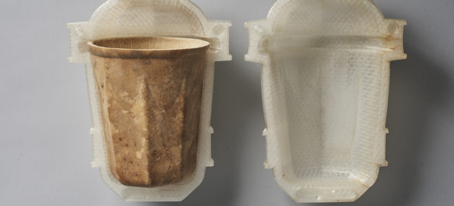 Disposable cups made from mould-grown gourds