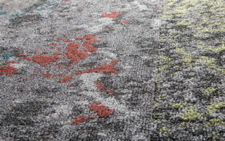 Lichen carpet