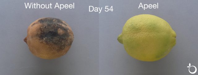 Plant-based Apeel coating slows produce spoilage - MaterialDistrict