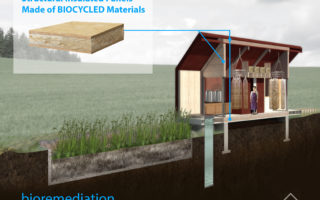 Making new building materials out of demolition waste and fungi