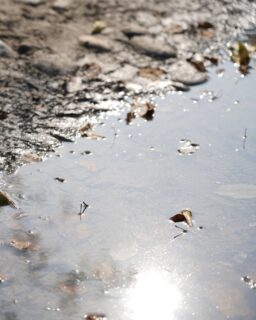 Researchers at Rice University have developed a new material that uses light to break down harmful pollutants in water. These pollutants include PFAS, often called ‘forever chemicals’ because they persist in the environment for decades. PFAS are widely found in soil and water, making their removal a growing global challenge.

The innovation centres on a hybrid, metal-free material that activates under light. As a result, it can break down a broad range of contaminants without the need for chemical additives or high energy input. This approach opens new possibilities for sustainable water treatment solutions.

At the heart of the research are covalent organic frameworks, or COFs. These porous, crystalline materials have a very large surface area. Because of this, they perform well in light-driven chemical reactions. When light hits the material, electrons start to move within the structure. This process triggers reactions that break down organic pollutants.

Read more at MaterialDistrict.com

#MaterialInspiration #Materials #MaterialInnovation #WaterPurification #Photocatalysis #SustainableDesign #CircularMaterials #BiobasedDesign #CleanWater #FutureMaterials