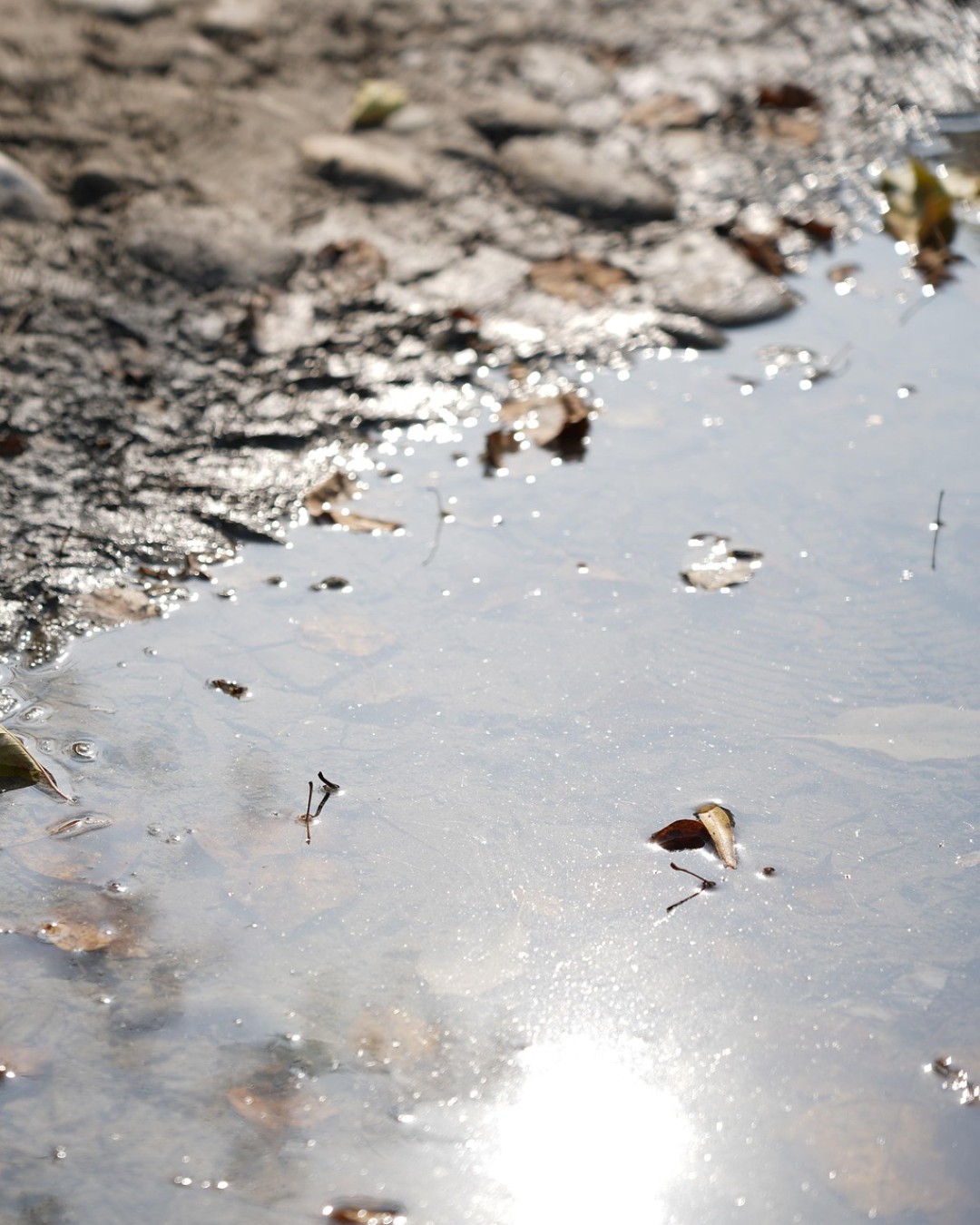Researchers at Rice University have developed a new material that uses light to break down harmful pollutants in water. These pollutants include PFAS, often called ‘forever chemicals’ because they persist in the environment for decades. PFAS are widely found in soil and water, making their removal a growing global challenge.

The innovation centres on a hybrid, metal-free material that activates under light. As a result, it can break down a broad range of contaminants without the need for chemical additives or high energy input. This approach opens new possibilities for sustainable water treatment solutions.

At the heart of the research are covalent organic frameworks, or COFs. These porous, crystalline materials have a very large surface area. Because of this, they perform well in light-driven chemical reactions. When light hits the material, electrons start to move within the structure. This process triggers reactions that break down organic pollutants.

Read more at MaterialDistrict.com

#MaterialInspiration #Materials #MaterialInnovation #WaterPurification #Photocatalysis #SustainableDesign #CircularMaterials #BiobasedDesign #CleanWater #FutureMaterials