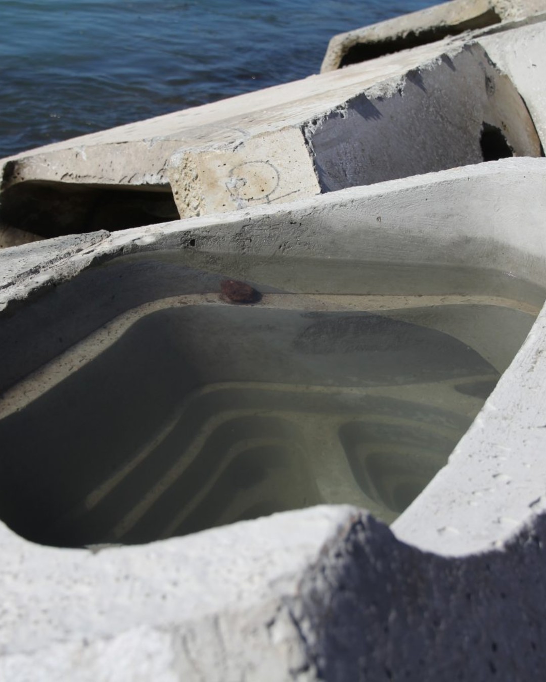 .@lytteltonport introduced ecological design principles into its coastal infrastructure through specially engineered concrete habitat units. The project shows how maritime structures can support marine biodiversity while continuing to fulfil their primary engineering function.
The company is installing around 220 ECOncrete Coastalock units along a newly reclaimed seawall. The units are arranged in clusters that create both intertidal and subtidal habitats. This configuration encourages marine life to establish itself in an area typically dominated by conventional hard infrastructure. During the first phase, LPC installed 22 units along the eastern section of the seawall. Each unit weighs approximately 3.5 tonnes.
Read more at MaterialDistrict.com
#MaterialInspiration #Materials #EcologicalEngineering #MarineBiodiversity #NatureInclusiveDesign #CoastalInfrastructure #EcoConcrete #MaterialInnovation #SustainableDesign #BlueInfrastructure #BiophilicDesign #LandscapeArchitecture #CircularConstruction #BuiltEnvironment