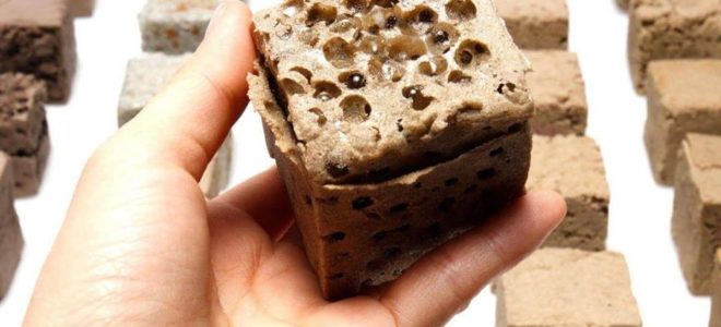 Best of 2018: a more sustainable alternative to concrete made from desert sand
