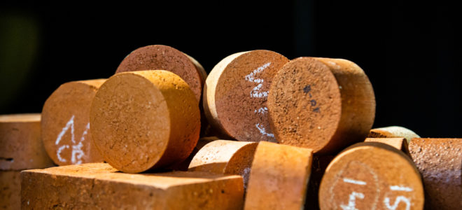 Bricks made from recycled sewage sludge