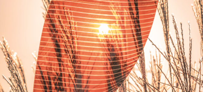 Affordable perovskite solar panels