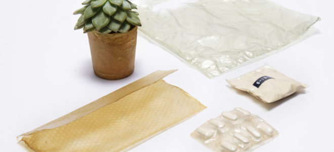 Turing seafood waste in biodegradable bioplastic